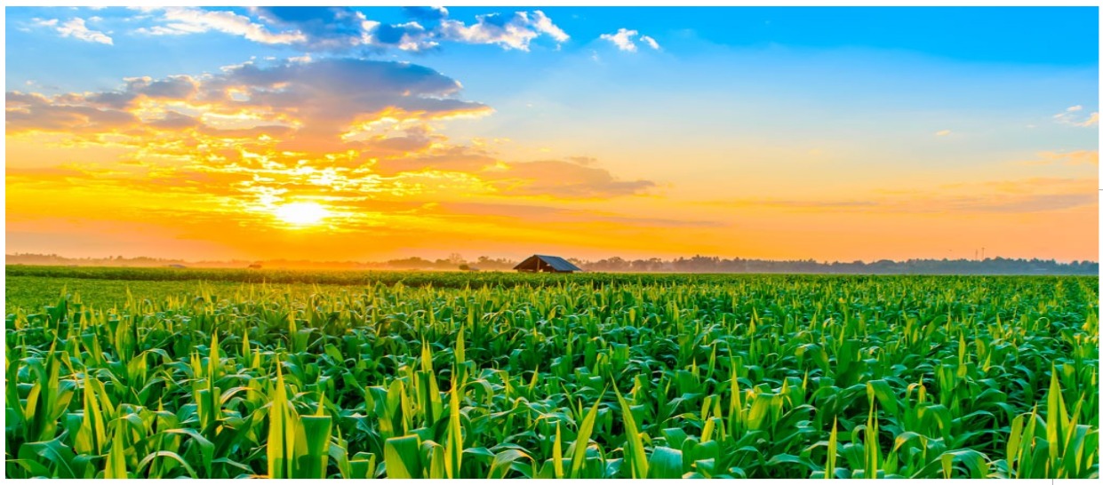 Agriculture Background